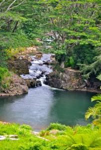 Flowing Stream