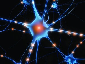 brain-activity-neurons-signals